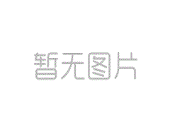 2004年